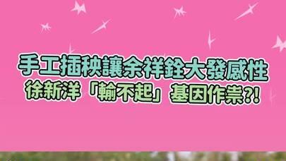 純手工插秧讓余祥銓大發感性 徐新洋連潑冷水 「輸不起」基因作祟?