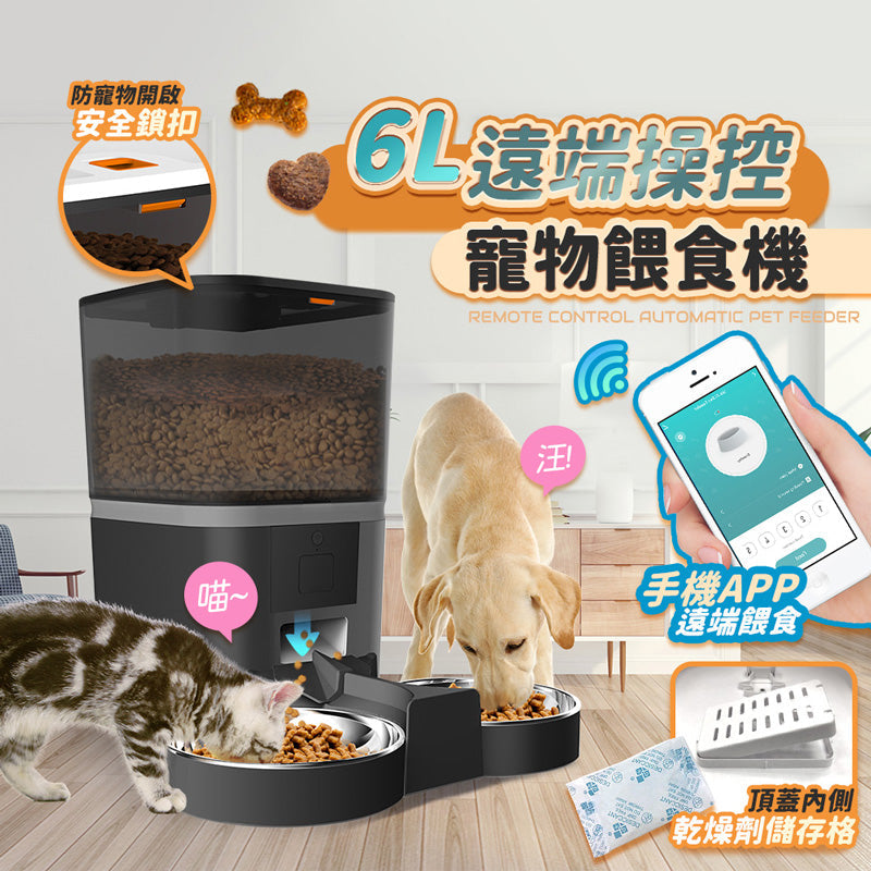 買一送一智慧寵物餵食機台灣賣家保固更安心 304不鏽鋼碗 6L大容量 防卡糧 智能餵食器 餵食器 餵食機 防潮防霉寵物用品