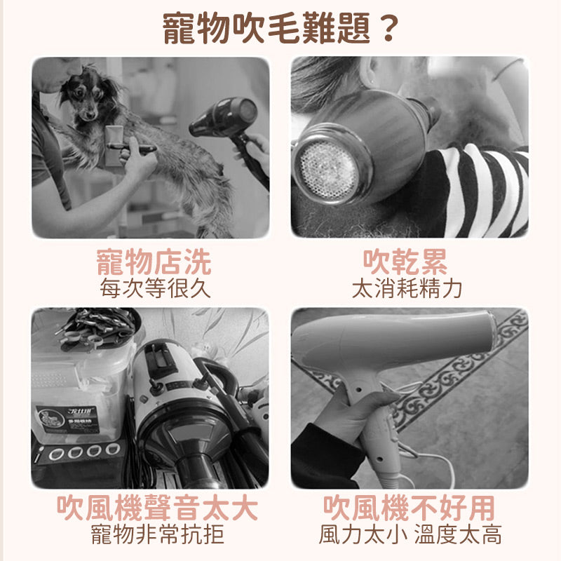 免運 分期付款【台灣現貨】寵物烘乾機 貓咪烘乾機 寵物 烘乾箱 烘毛機 吹毛機 貓咪 狗 兔子 吹水機 寵物 吹風機寵物用品 - 台灣批發網