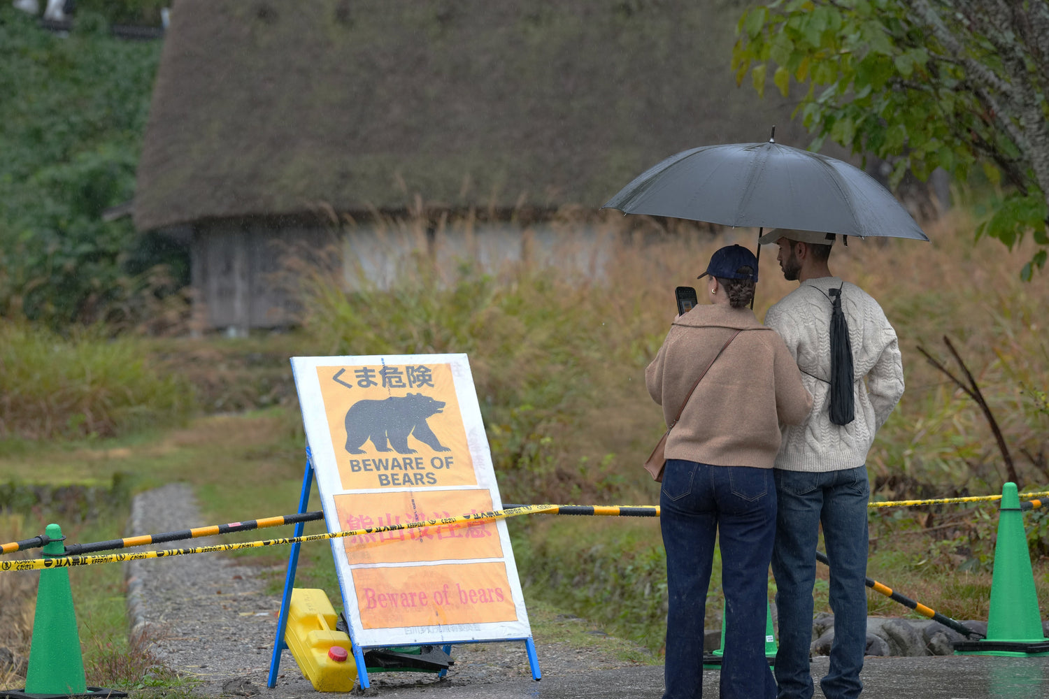「熊害」蔓延影響日本旅遊意願！外國遊客不安 旅行社忙安撫